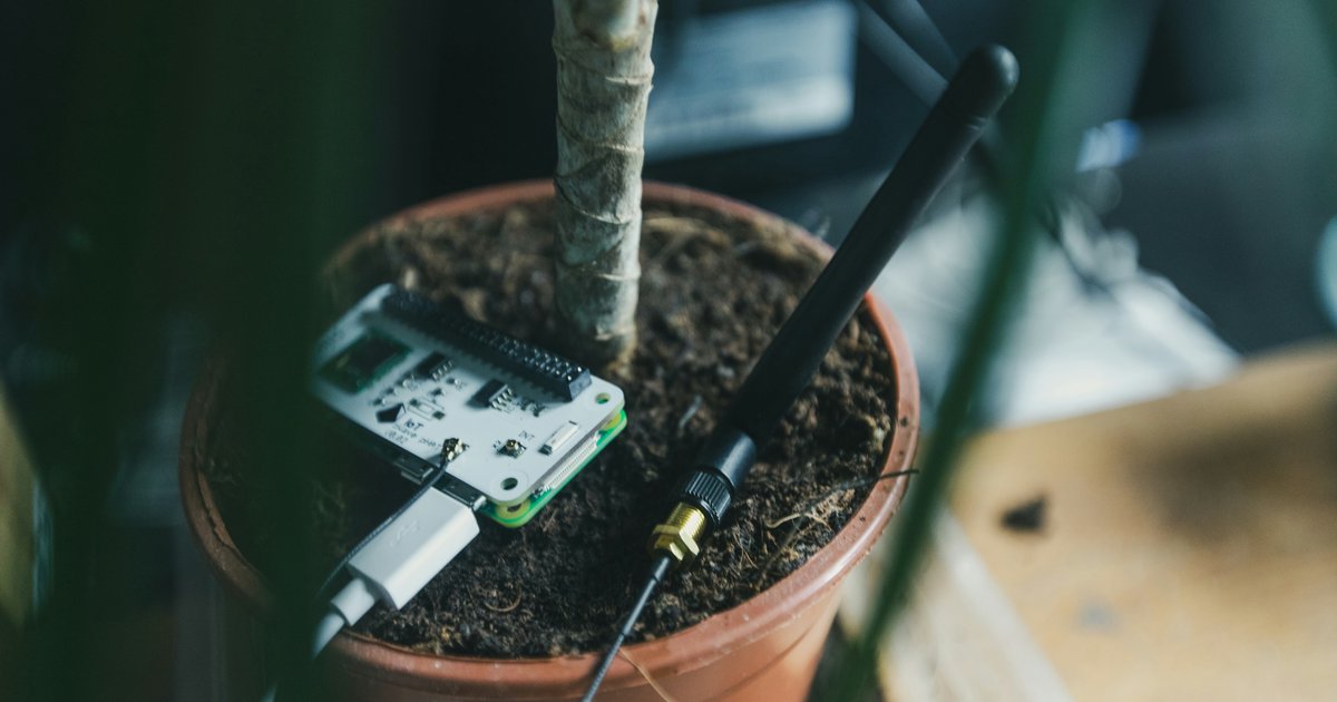Automatyczny system podlewania roślin - smart home dla ogrodu